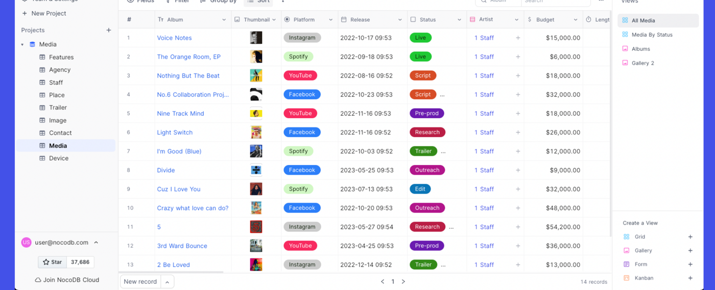 NocoDB grid: Media table with fields, filters, and gallery kanban form views