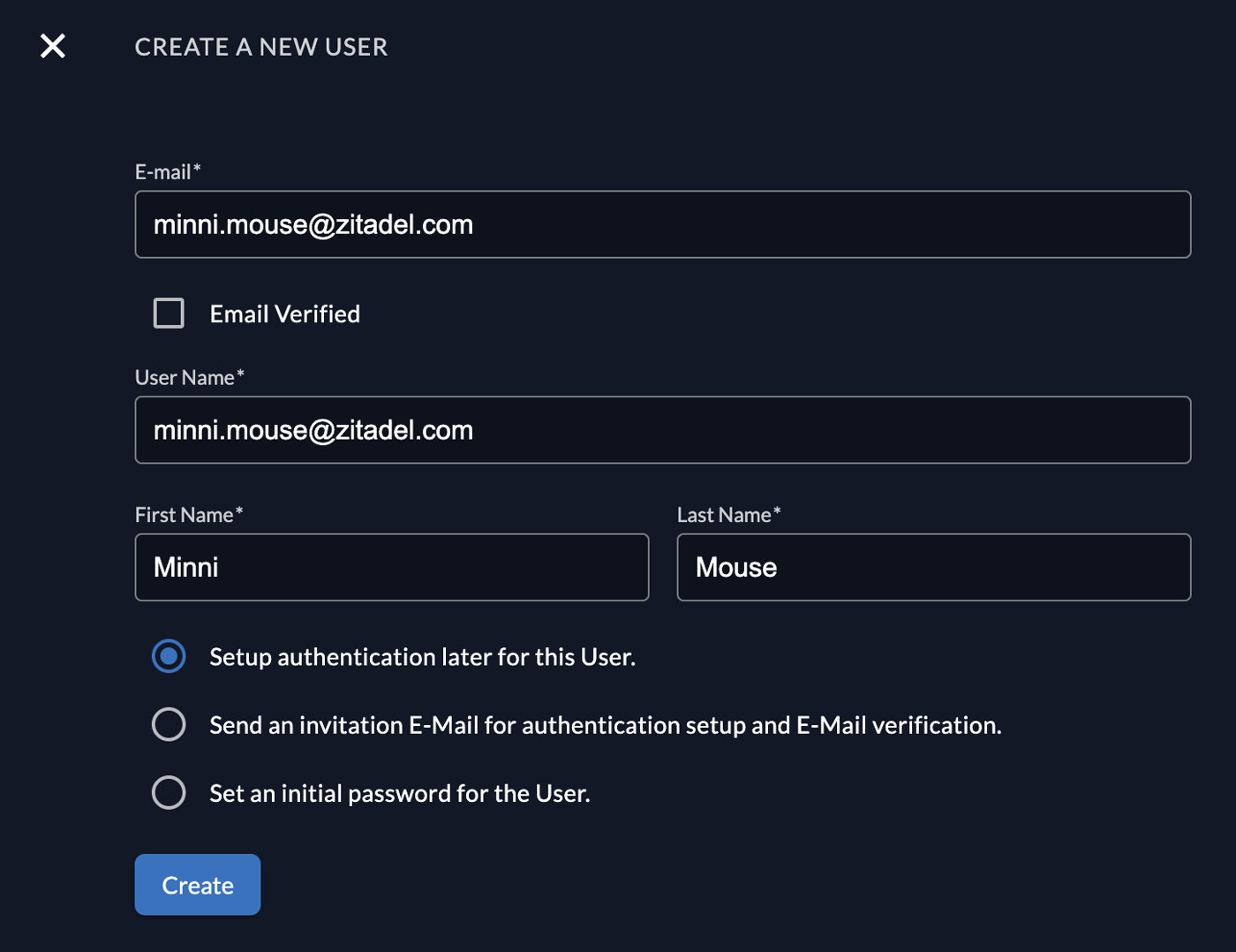 ZITADEL Create a new user form: email, username, invite or password